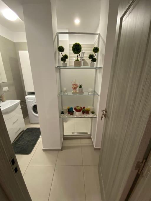 Cozy Central Apartment With 2 Rooms Bukarest Eksteriør billede