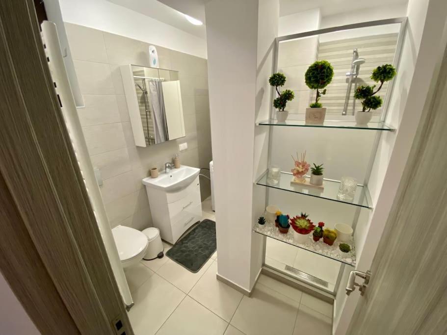 Cozy Central Apartment With 2 Rooms Bukarest Eksteriør billede